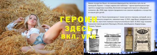 стафф Гусев