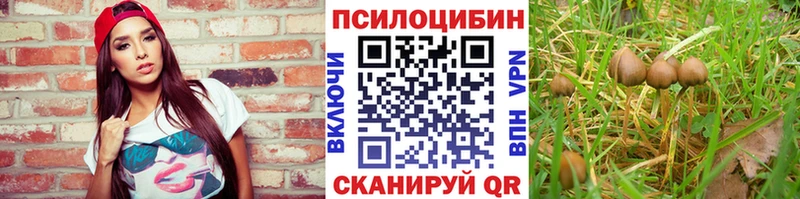 сколько стоит  Сарапул  Галлюциногенные грибы прущие грибы 