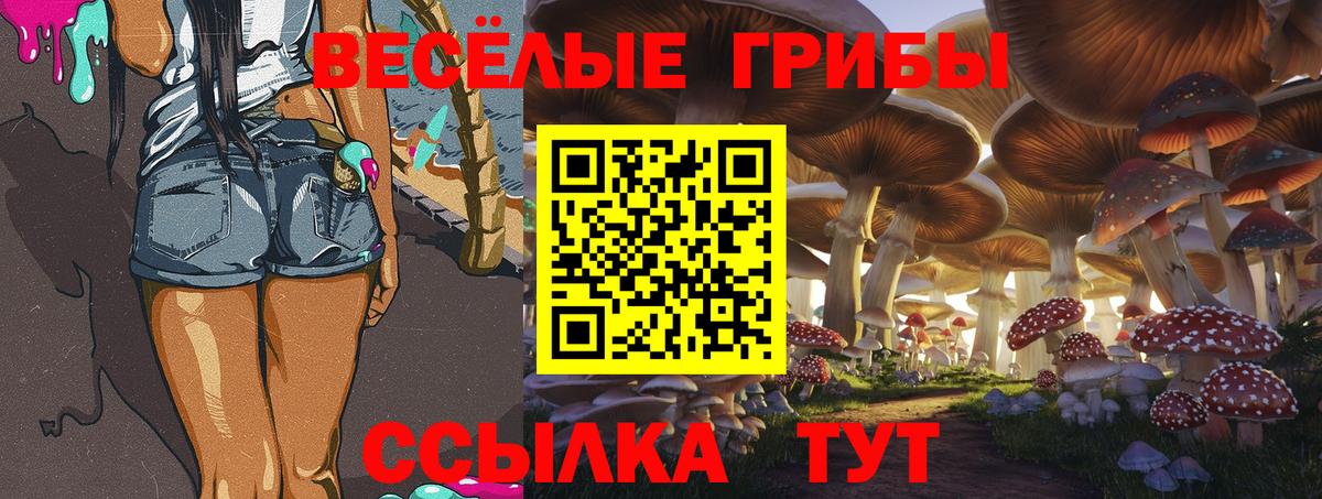 Галлюциногенные грибы мухоморы Сарапул